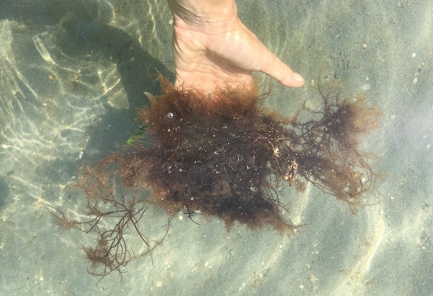 Institute_relocation_biodiversity