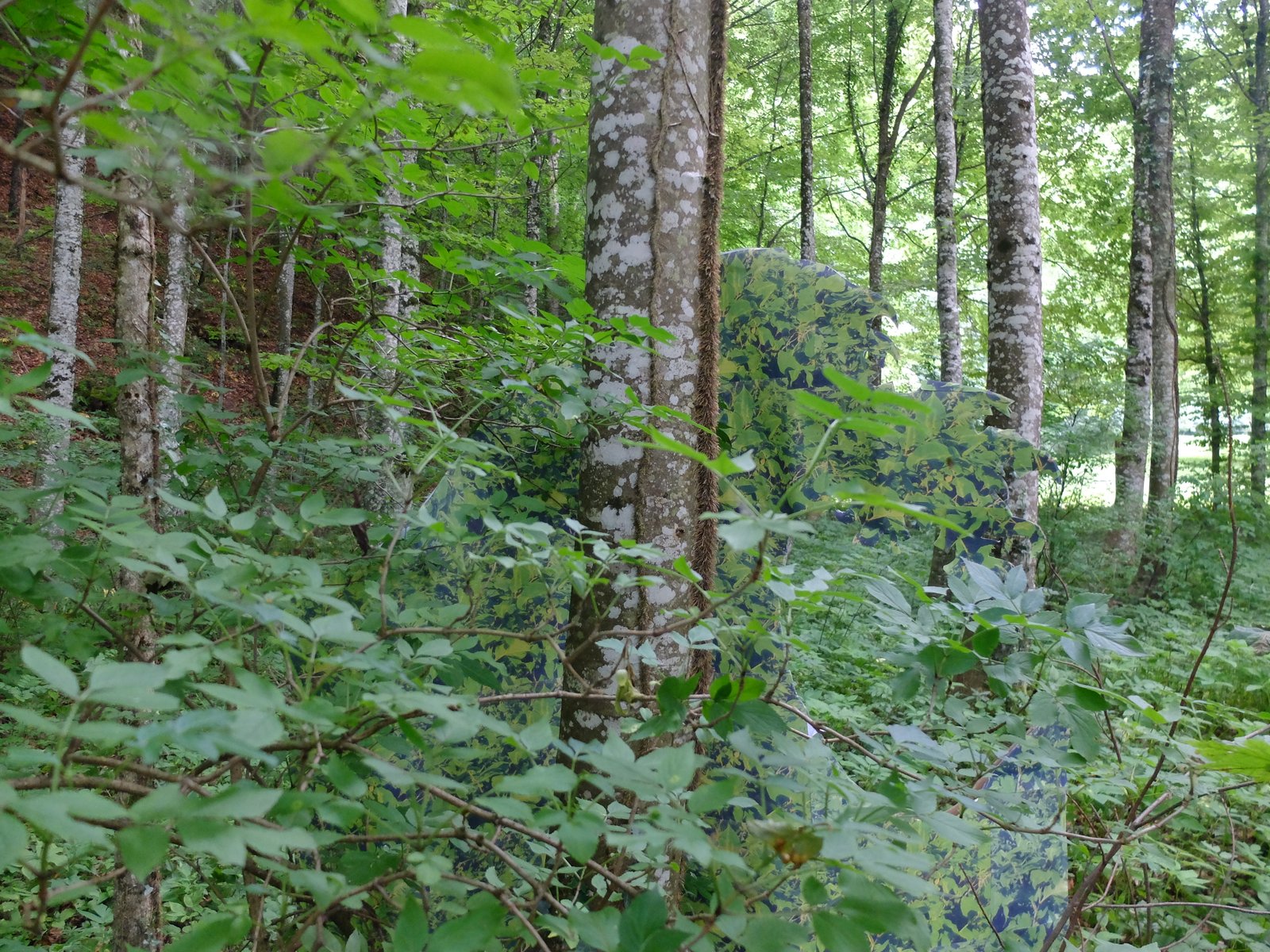 Gosie Vervloessem - Hush Hush of the Bush