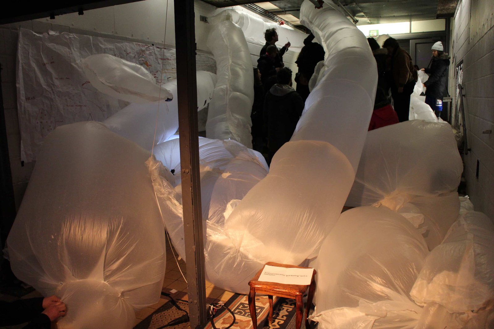 Gosie Vervloessem_A Matter of Animated Mountain © Paul McGee