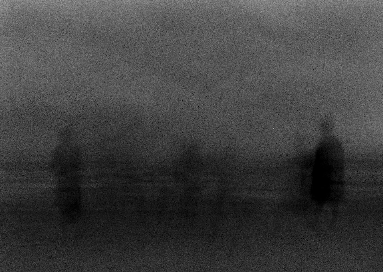 night-dancers-c-Rasa-Alksnyte